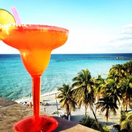 10991090_816327595069004_1192795535691000884_n